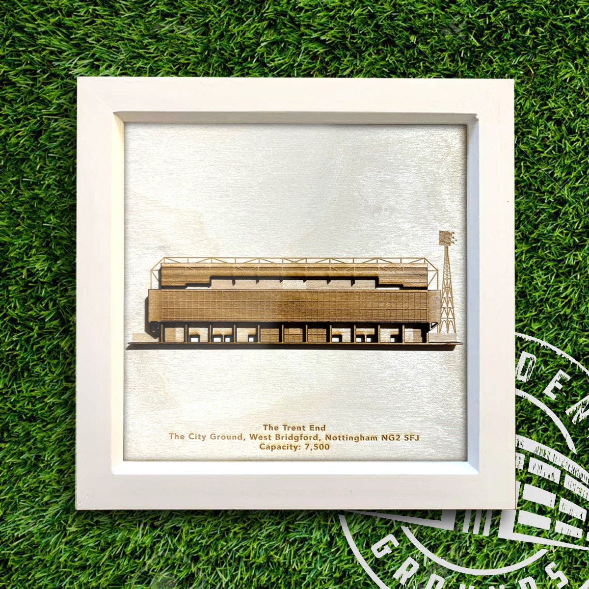 The City Ground